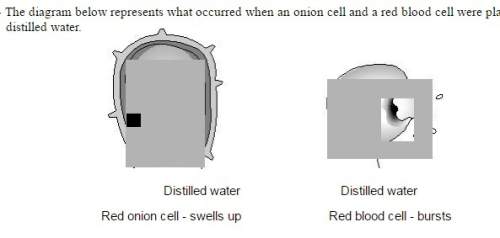 "the best explanation for why the onion cells do not burst, while red blood cells often do, is that&lt;