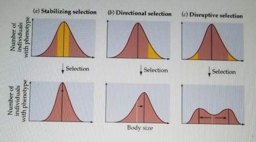 There are three different types of natural selection and all three types affect the frequency of all