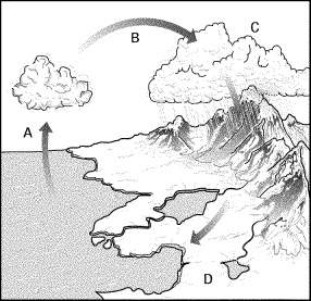 Identify a-d of the water cycle in figure 15-2. use the terms precipitation, evaporation, groundwate