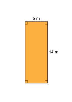 What is the perimeter of this rectangle?  a. 19 m b.