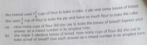 Mrs hamid used 7 3/4 cups of flour to bake a cake, a pie and some loaves of bread. she used 3/4 cups
