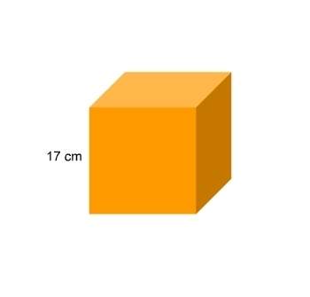 What is the surface area of the cube?  a. 289 cm2 b.
