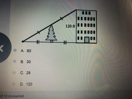 What is the height of the tree? 25 points