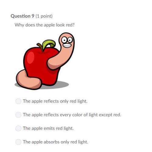 Correct answer only !  why does the apple look red?