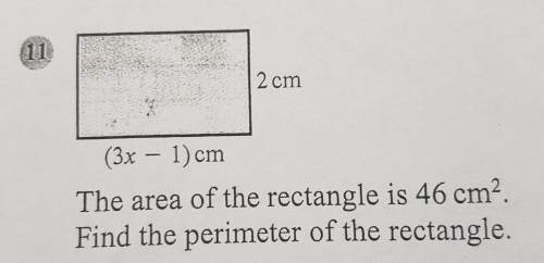 What is the perimeter of this rectangle ?