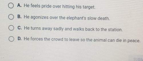 What is the narrators reaction once the elephant is shot