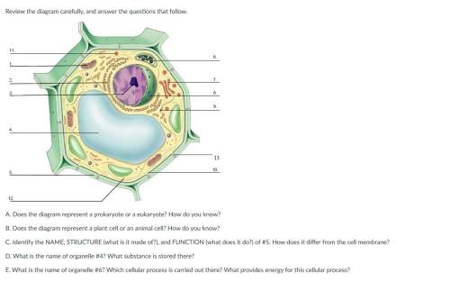 Review the diagram carefully, and answer the questions that follow. &gt; i really need