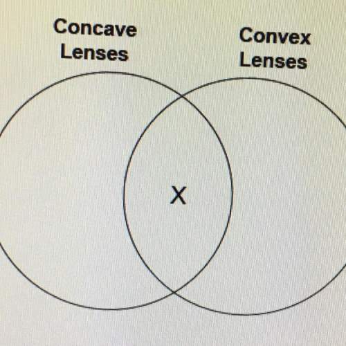 Franny drew a diagram to compare images produced by concave and convex lenses.  which be