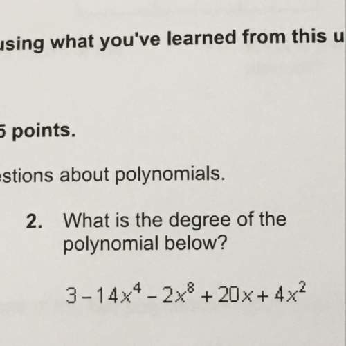 What is the degree of the polynomial below?