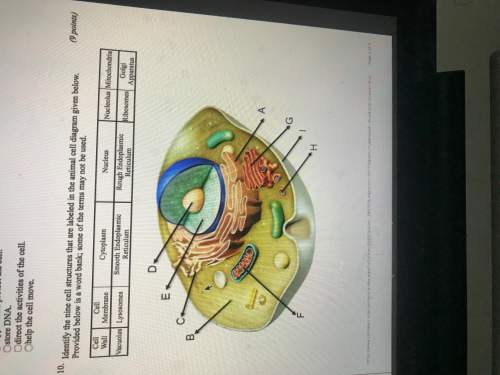 Identify the nine cell structures that are labeled in the animal cell diagram given below. provided