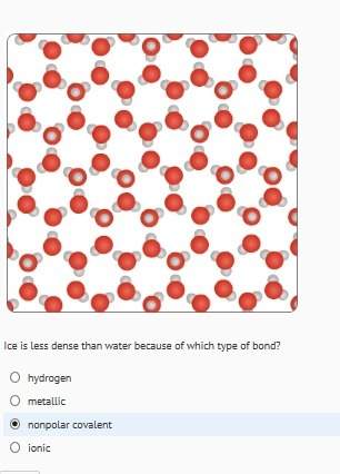 ice is less dense than water because of which bond?  you