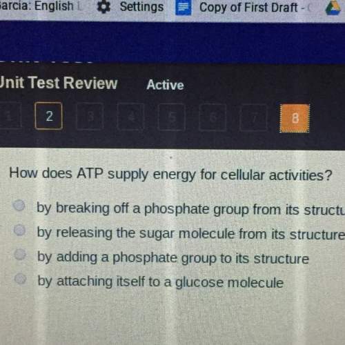 How does atp supply for cellular activities