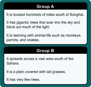 Which group of statements best describes the rain forest? a. group a b. group b