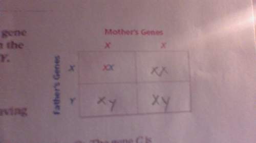 Apunnet square is a grid used to show possible gene combinations for the offspring of two parents. i