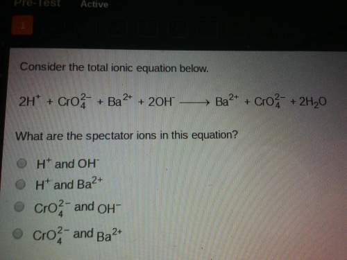 Consider the total ionic equation below.