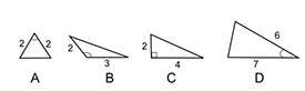 Sylvia calculated the missing side length of one of these triangles using the pythagorean theorem. w