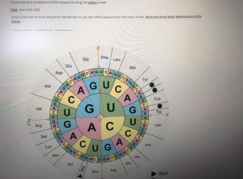 Transcribe and translate the dna sequence using the codon wheel. dna: aaa gag ggg