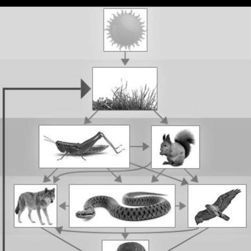 According to the following food web which of the following organisms do wolves eat?  ha