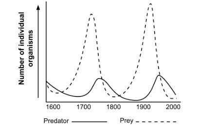 Pattern among predator and prey populations in this area?  choose all answers that are correct