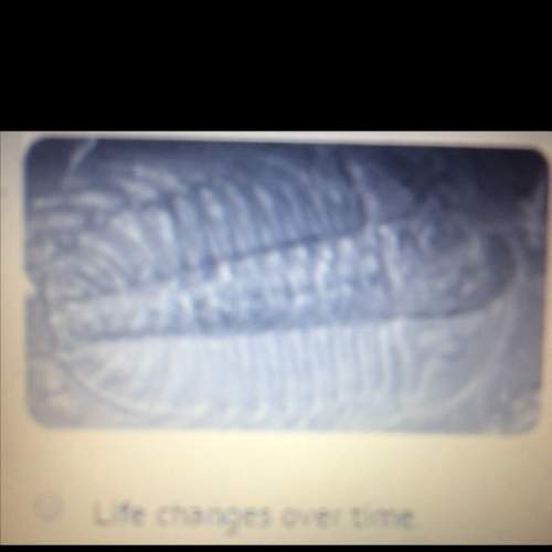 The trilobites seen in this image was once found widespread in the ocean. something changed to limit