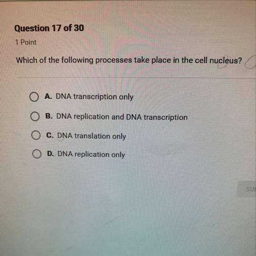 Which of the following processes take place in the cell nucleus?