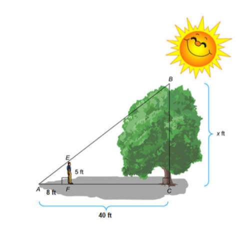 The diagram shows 5 ft student standing near a tree. the shadow of the student and the shadow of the