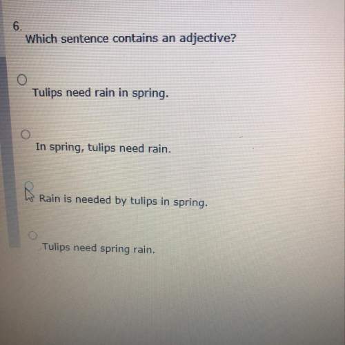 Which sentence contains an adjective