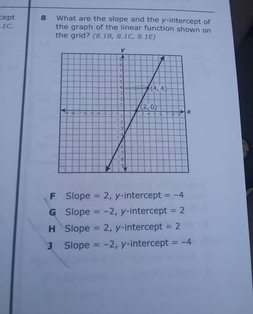 What are the slope and the y intercept of the graph of the liner function shown on the grid
