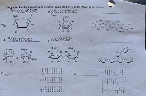 Identify the following pictures. write the name of the molecules on the line.  questions