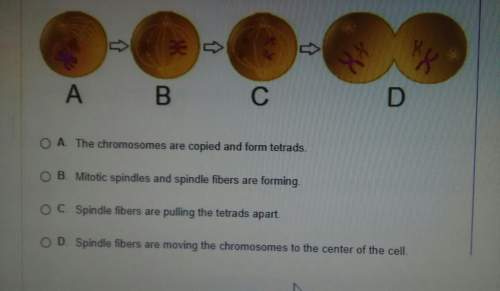 The diagram below shows the first four steps of meiosis what is happening in the step labeled b