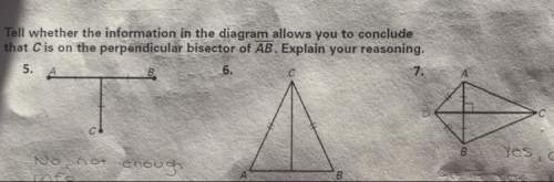 What is the answer to these? i don’t know if i’m doing it right or not. is it perpendicular? yes o