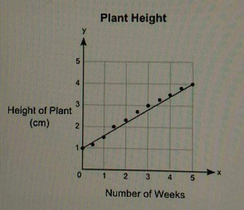 Plz! the graph shows the heights, y (in centimeters), of a plant after a certain number of weeks, x
