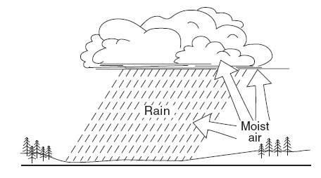 The diagram below shows a material being cycled between the living and nonliving environments.