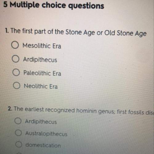 The first part of the stone age or old stone age