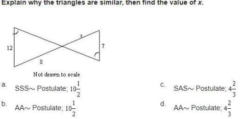 Explain why the triangles are similar, then find the value of x.