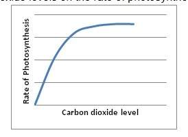 The graph below shows the effect of carbon dioxide levels on the rate of photosynthesis.