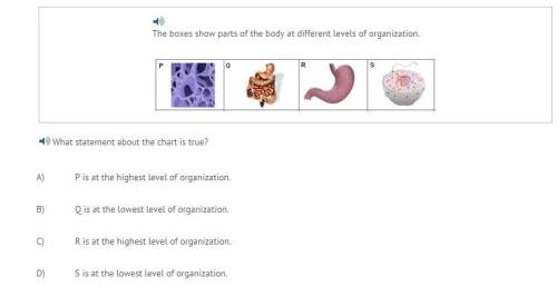 The boxes show parts of the body at different levels of organization. what statement about the chart