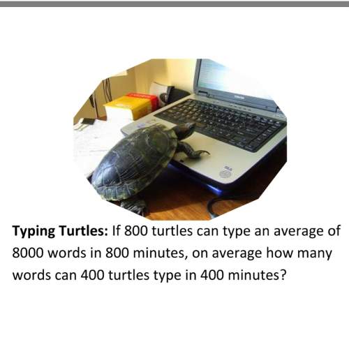 On average how many words can 400 turtles type in 400 minutes?
