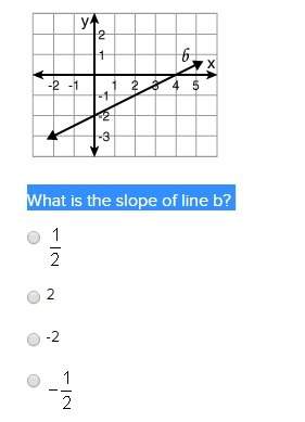 What is the slope of line b? (photo attached) (valid answers only, waste my time and i'