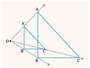 Which of the following statements is true about the figure?  ▲a'b'c' is congruent