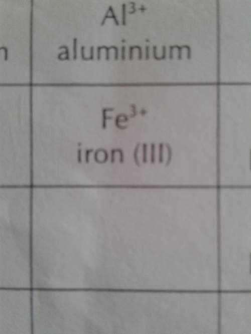 What does the (lll) in iron ion mean
