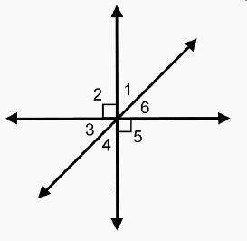 Which statement is true about angles 3 and 6?  they are adjacent angles. they are