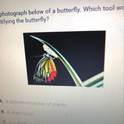 Cara took the photograph below of a butterfly. which tool would be most in identifying the bu