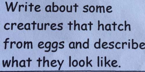 Write about some creatures that hatch from eggs and describe what they look like
