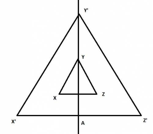 Triangle XYZ is shown below with line AY passing through the center: Triangle XYZ is shown with line