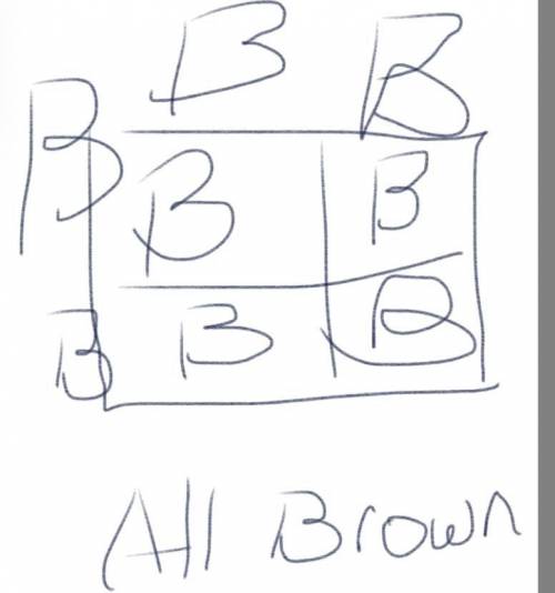 Within the human trait, brown eyes are dominant over green eyes. The Punnett square below shows a cr