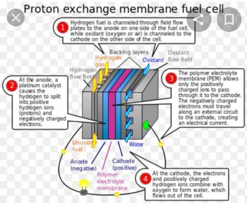 Describe what a fuel cell is, and what the practical importance of such a device might be