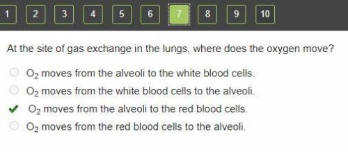 At the site of gas exchange in the lungs, where does the oxygen move?

O2 moves from the alveoli to