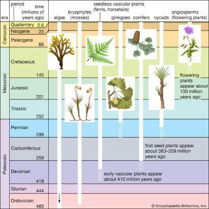 A geochronological scale measured in Millions of Years Ago or M Y A. Mesozoic era: Triassic period,