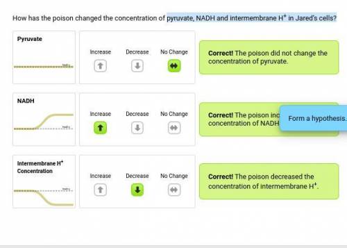 How has the poison changed the concentration of pyruvate, NADH and intermembrane H in Jared's cells?